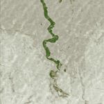 ASCATA
