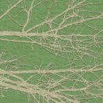 BRANCH
