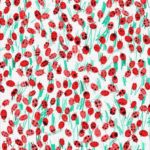 LADYBIRDS