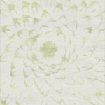 LILLY