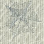TOILE