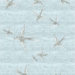 SWALLOWS