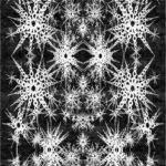 STARS I