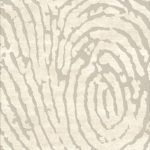 BOCOTE
